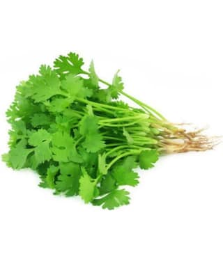 Coriander (Dhaniya) High Germination Vegetables Seeds - Pack of 100 Premium Seeds