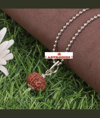 Astrodidi 7 Mukhi Rudraksha Pendant / Seven Face Indonesian Java Small Rudraksha with Lab Report