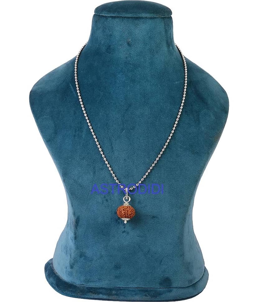 Astrodidi 7 Mukhi Rudraksha Pendant / Seven Face Indonesian Java Small Rudraksha with Lab Report view 2