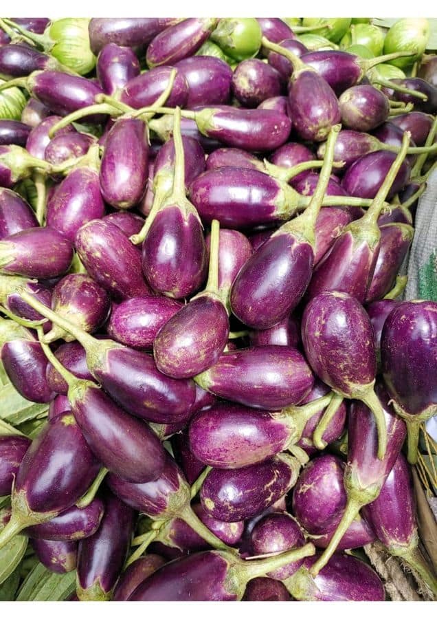 Brinjal - 1 kg view 2