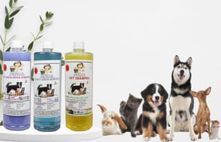 Swacch Shampoo (Lemon) + Deodorizer (Lavender) + Stain Remover (Lavender) 1 Litre Each