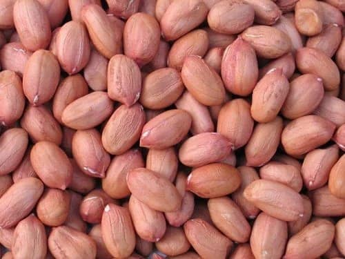 Groundnut, 1kg view 2