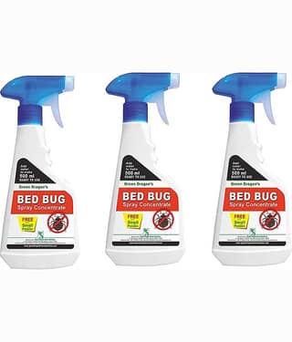 Green Dragon Bed Bug Spray Concentrate Pack of 3