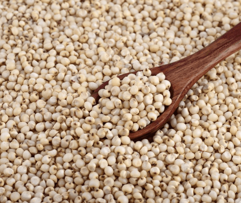 Cholam (Sorghum) rice