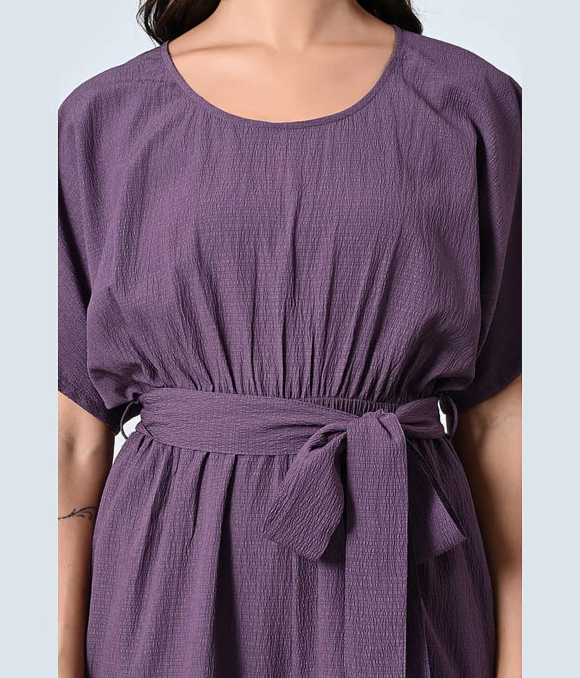 ALL WAYS YOU Purple Polyester Regular Fit Women's Jumpsuit ( Pack of 1 ) view 2
