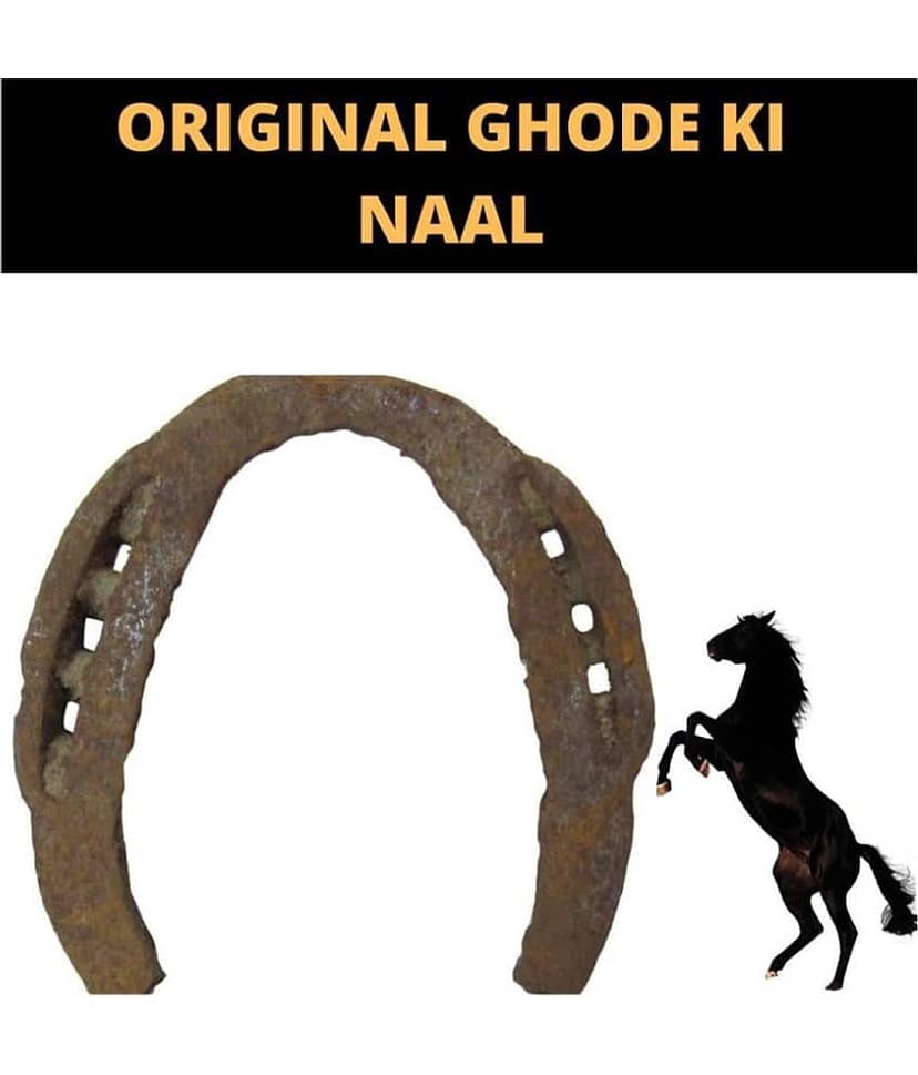Real Black Horse Iron Shoe Kale Ghode ki Naal Energized Black Horse Shoe