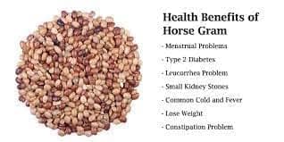 RAM GOLD Premium Horse Gram/Huruli Kalu/Vulavalu/Kulthi Dal/Npop Certified Organic Farm-500G view 4