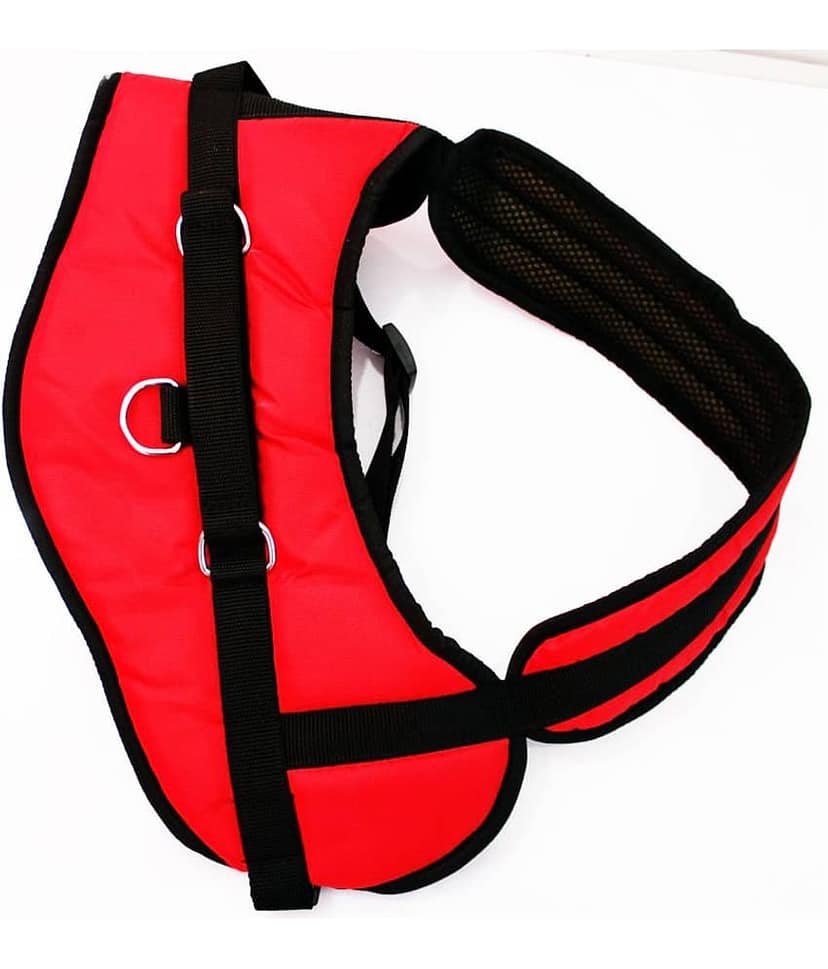 Petshop7 - Multicolor Dog Harness (X-Large) view 2