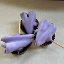 Pack Of 3 Black Currant Paan
