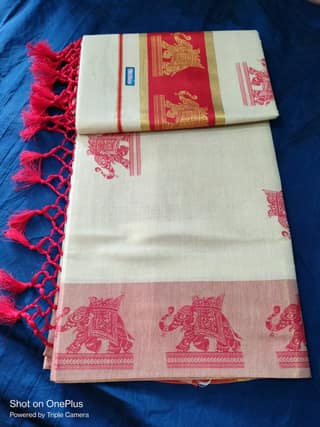 Elephant Print Tissue Saree