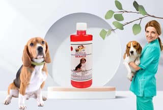 Swacch Shampoo Specially Formulated for Beagle (500ML) Strawberry