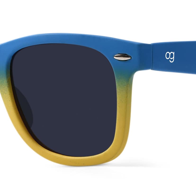 Classic Collection Wayfarer Sunglasses view 2