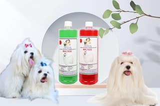 Swacch Shampoo Specially Formulated for Maltese (1 Litre) (Combo Pack of 2) Neem Alovera & Strawberry