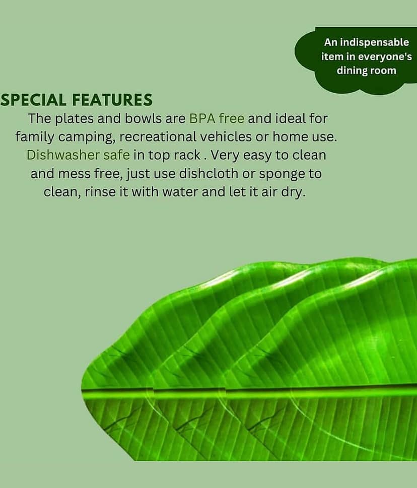 Laserbot (SIZE- 24 X 14) BANANA TRAY Printed Melamine Dinner Set ( Pack of 2 ) Green view 2