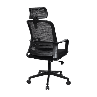 Kantva Ergonomic High Back Mesh Office Chair with Adjustable Headrest and Lumbar Support
