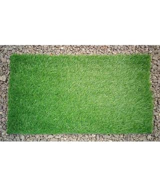 Revexo - Anti-skid Plastic Door Mat ( 40 X 60 cm ) Single - Green