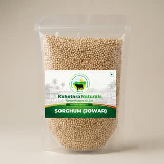 Sorghum (Jowar)- 500Grams