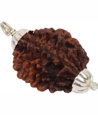 Astrodidi 2 Mukhi Rudraksha Pendant Wth Lab Certificate