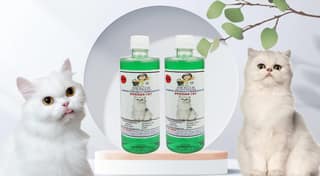 SWACCH Shampoo Specially FORMULATED for Persian CAT (500ML) (Pack of 2) NEEM ALOVERA