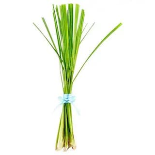 Lemongrass Whole Bunch