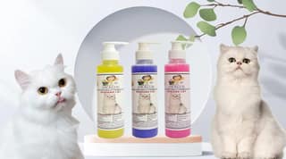 SWACCH Premium Shampoo for Persian CAT (200ML) (Combo Pack of 3) Lemon, Lavender & Rose