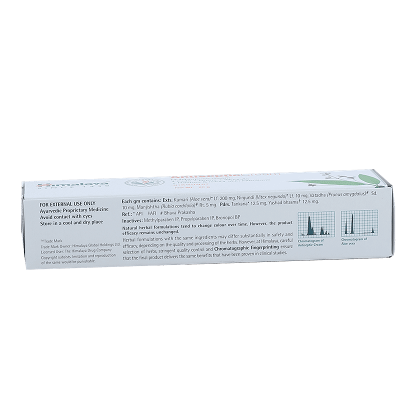 Himalaya Wellness Antiseptic Cream, 20 G view 2