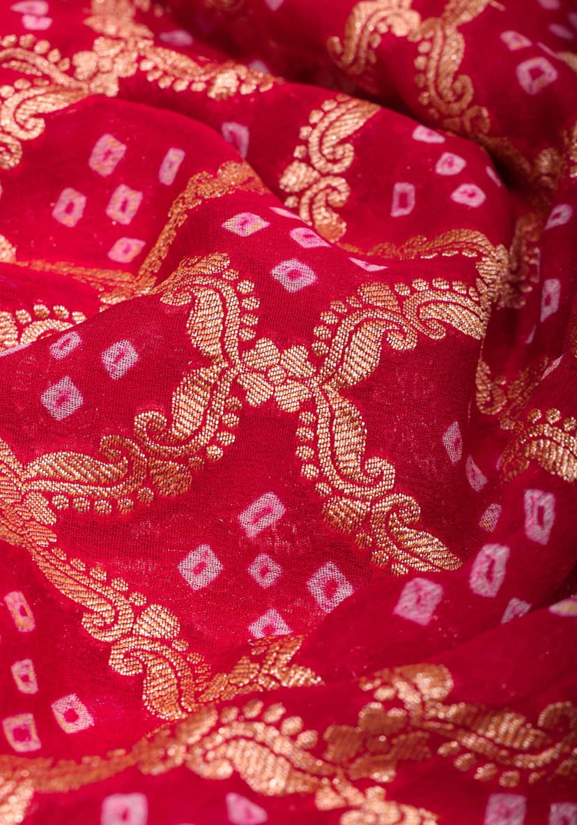 Red Shades Authentic Hand Bandhej Banarasi Silk Georgette Saree | SILK MARK CERTIFIED view 6