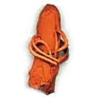 Shvetark Ganpati