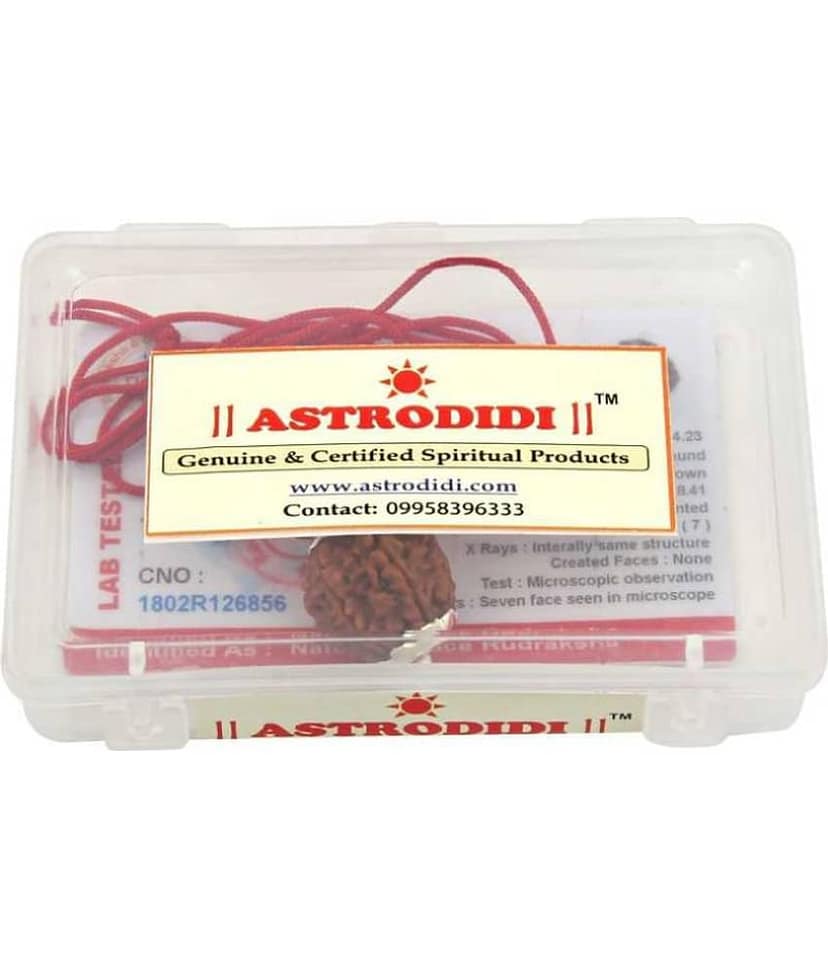 Astrodidi 4 Mukhi Rudraksha Pendant With Lab Certificate view 2