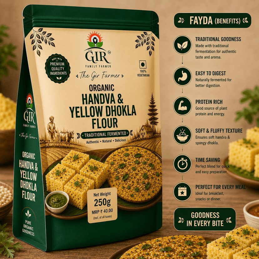Organic Handva & Yellow Dhokla Flour view 3
