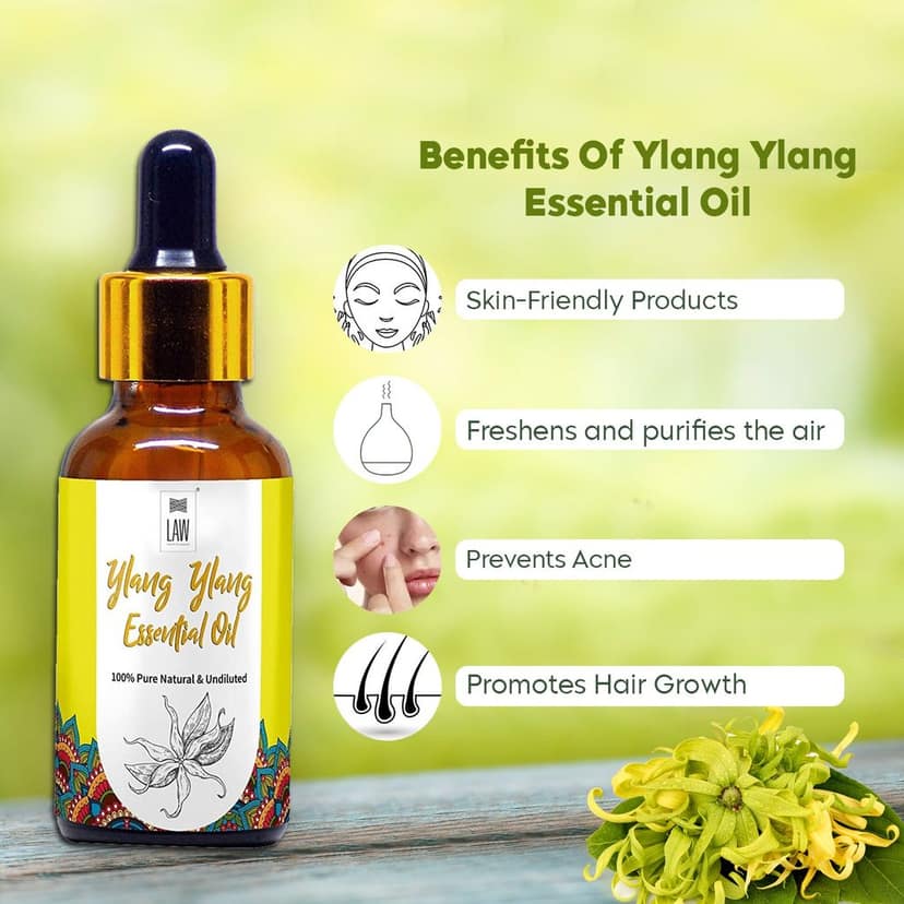 Ylang Ylang Essential Oil view 4