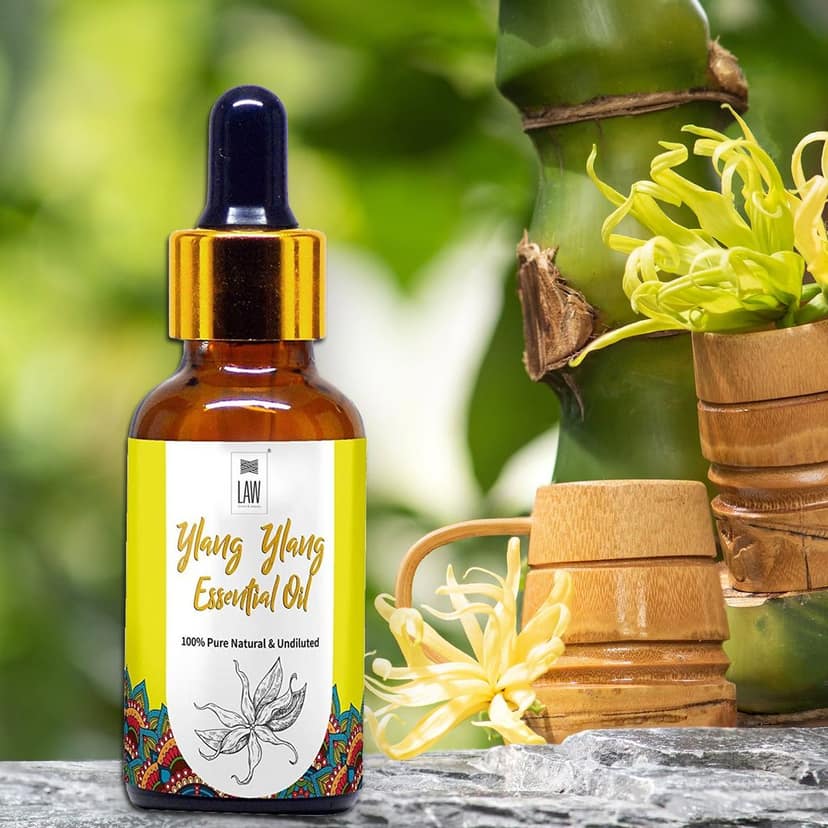Ylang Ylang Essential Oil view 5