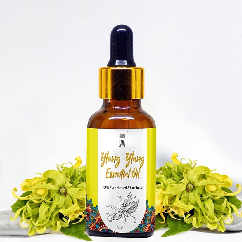 Ylang Ylang Essential Oil view 6