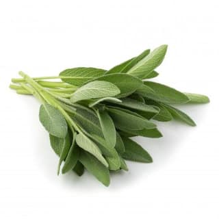 Sage - Organic Herb 100 Gms
