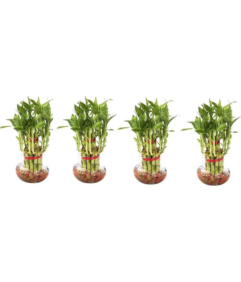 Green plant indoor - Green Wild Artificial Flowers With Pot ( Pack of 4 )