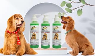 SWACCH Premium Shampoo for Cocker Spaniel (200ML) (Pack of 3) NEEM ALOVERA