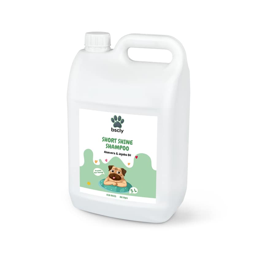 Bscly Short Shine Shampoo, 5 L