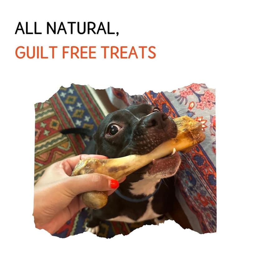 Nuts over Mutts Dehydrated Pork Bone, Chewing Bone for Dogs, Dehydrated Dental Bone for Dogs, All Natural Dog Treat, Protein and Calcium Rich, 1 Pack (2 Bones) for Rs 649/- view 4