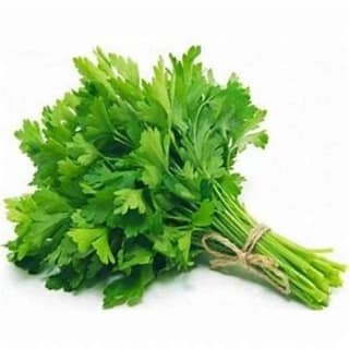 Coriander (Dhaniya) - ( 1 Bunch )