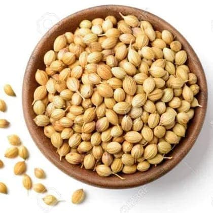 Whole & Fresh Coriander Seeds view 3