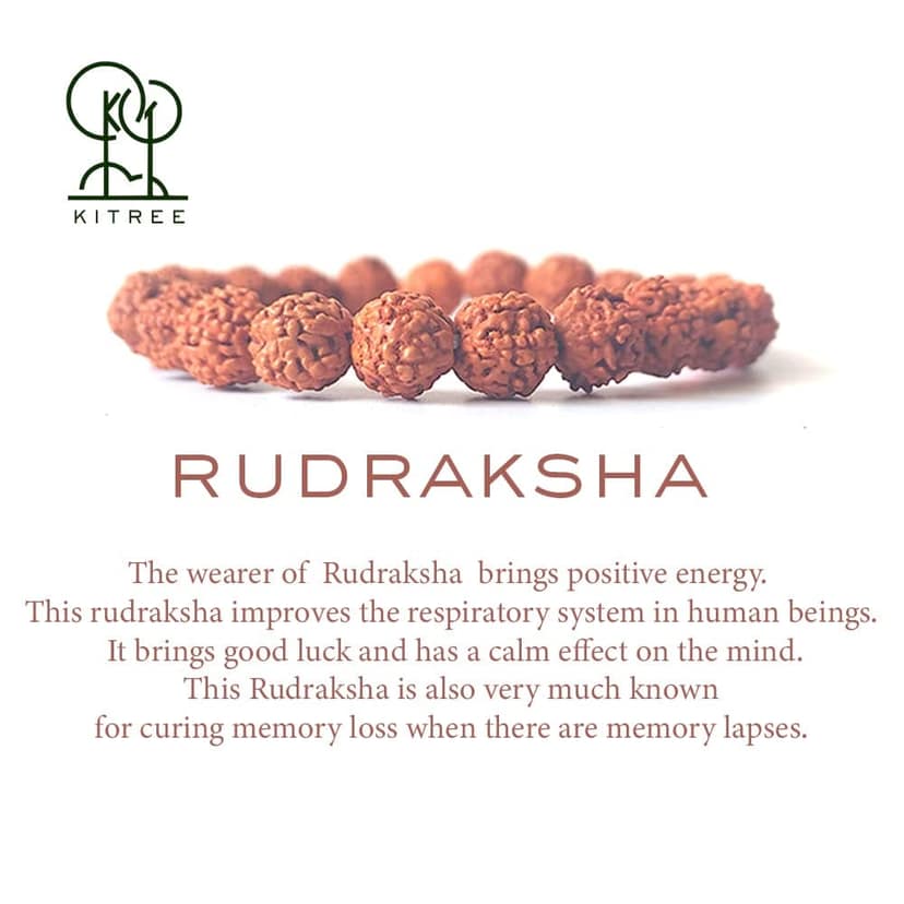 KITREE RUDRAKSHA BRACELET 8MM ROUND FOR UNISEX (BROWN COLOR) view 3