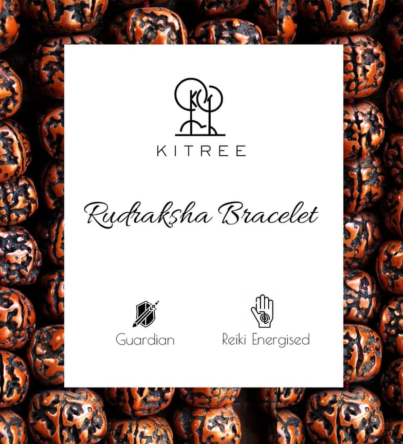KITREE RUDRAKSHA BRACELET 8MM ROUND FOR UNISEX (BROWN COLOR) view 4