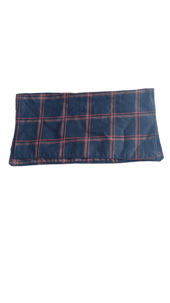 Blue and Red Plaid Handkerchief view 2