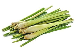 Lemongrass Half Bunch