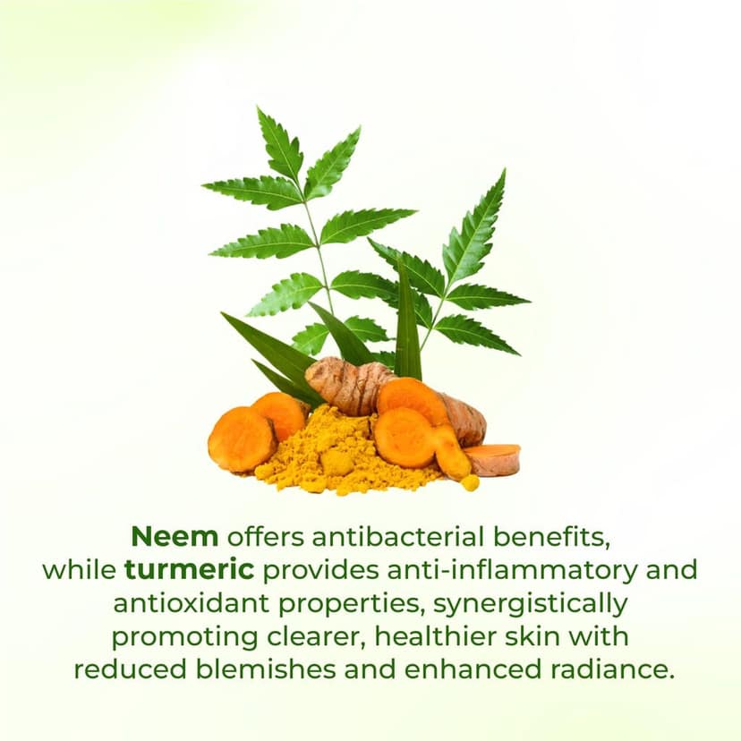 Elois Neem and Turmeric Facewash l Sun-Lightening l Cooling Effect l Acne and Blemishes Solution l Paraben Free l For All Skin Types l 100g view 6
