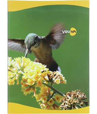 Navneet Youva Soft Bound Long Book 21x29.7 cm Single Line 140 Pages - Pack of 12