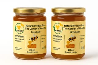 Atulyam Raw Organic Honey – 100% Pure & Natural Goodness from the Hive ( Pack of two ) - 500g