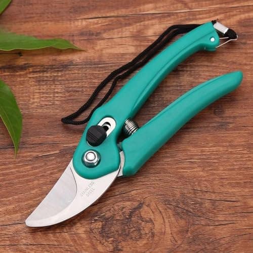 Cinagro Hand Pruner with Steel Blade, Non-Slip Ergonomic Handle, Assorted view 2