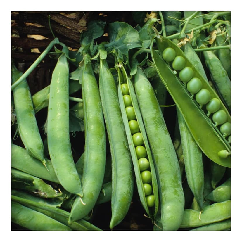 Green Peas (Sun Dried) 500gm view 3