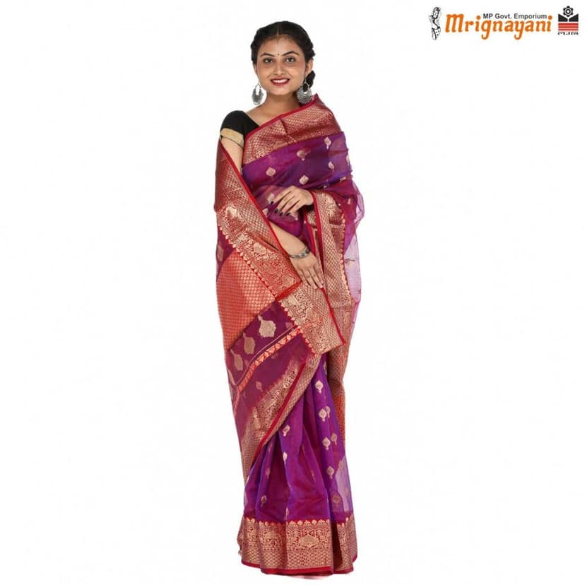 HANDLOOM CHANDERI SILK SAREE WITH BLOUSE(SKU - 1SC112310522 SAREE-1030) view 3